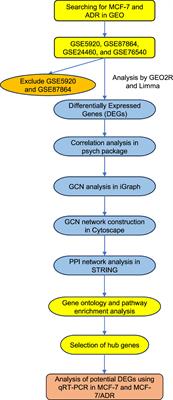 Identification of co-regulated genes associated with doxorubicin resistance in the MCF-7/ADR cancer cell line